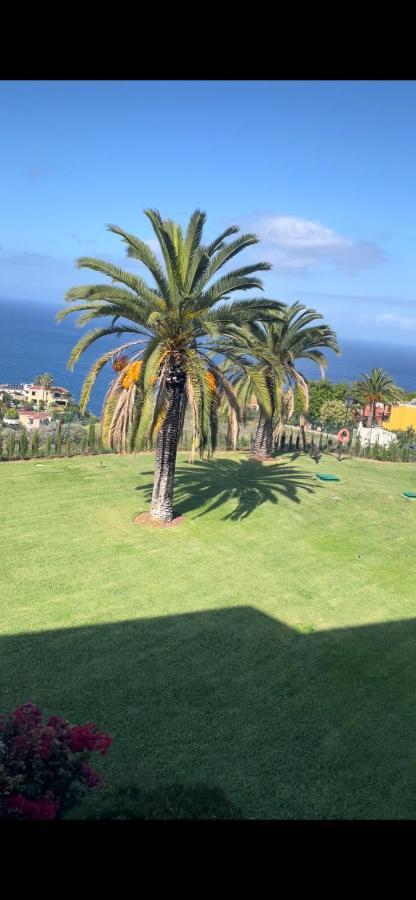شقة Vista Mar Azul Elegante Y Acogedor Santa Úrsula المظهر الخارجي الصورة